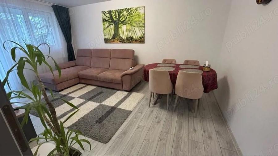 Vanzare Apartament 3 camere decomandat Renovat Drumul Taberei-Raul Doamnei - 2