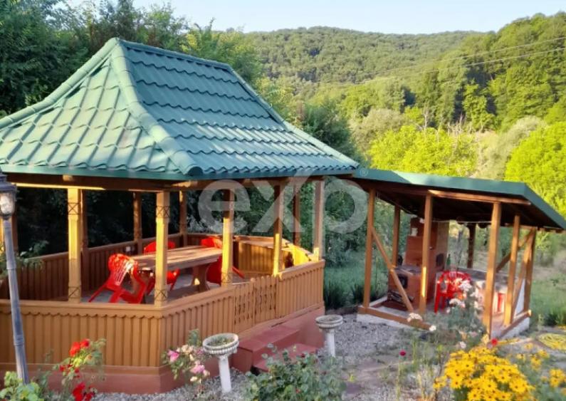 Casa la ?ara complet mobilata, 5.500 mp teren Topli? - 13