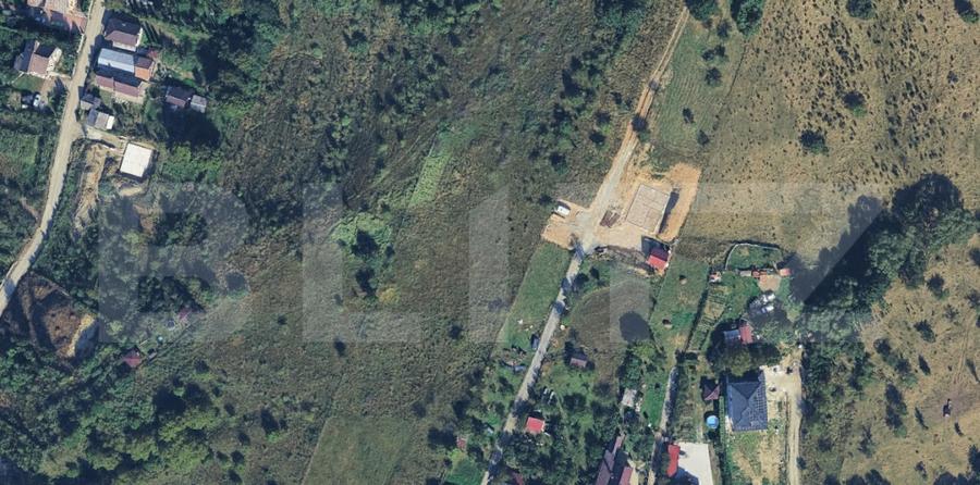 ???? Teren de vanzare - Valea Budacului, 50 de ari extravil - 3