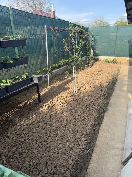 Vand casa la curte - 1