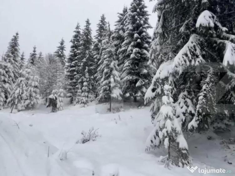 Teren 10,75 ari, intravilan Colibita, cu utilitati - 2