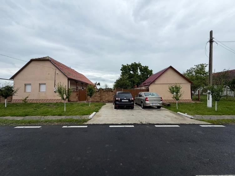 Casa cu teren de 3.000 mp in Herneacova - 1