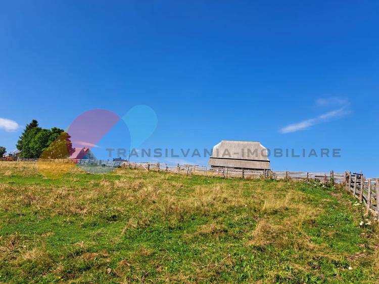 Teren Intravilan 1587 mp, Localitatea Maguri-Racatau - 3