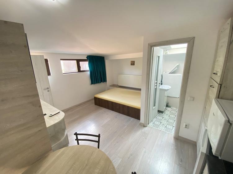 Apartament cu 1 camera, zona Podu Ros - 3