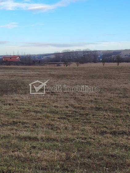 Teren de vanzare in Jucu de Mijloc - 6