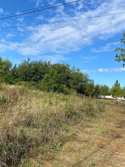 RECO Teren intravilan Paleu 647mp cu Utilitati inclusiv Gaz - 2