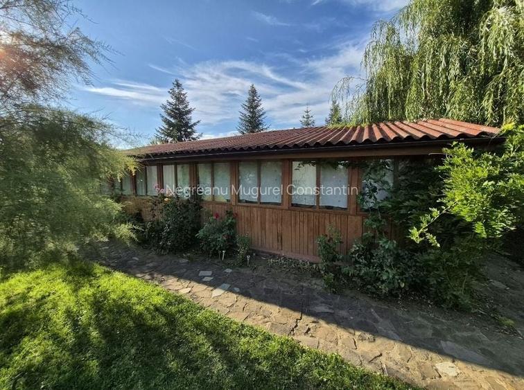 Cabana de lemn cu fundatie 86 mp+ livada pomi fructiferi+teren 847 mp
