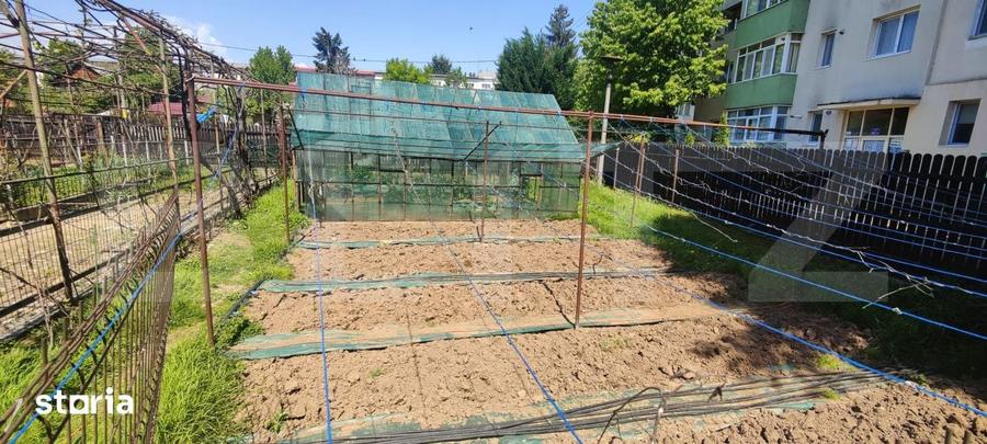 Casa Spatioasa cu Gradina, Garaj si Livada Oaza de Liniste in Tar - 11