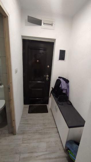 Apartament cu o camera Anina - 7