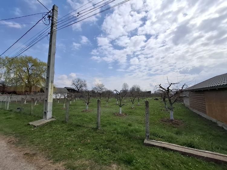 Teren Intravilan 2000 mp - Livada de meri, Raucesti - 5