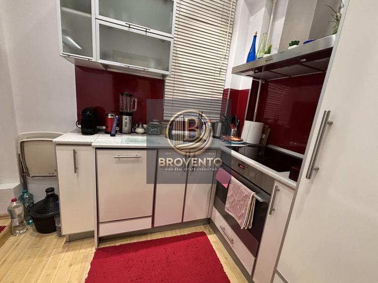 Apartament 2 camere si terasa inchisa Cismigiu - 10