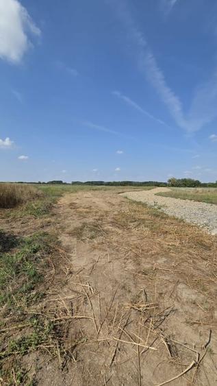 Teren Construcții intravilan de 406 mp, în Lazuri