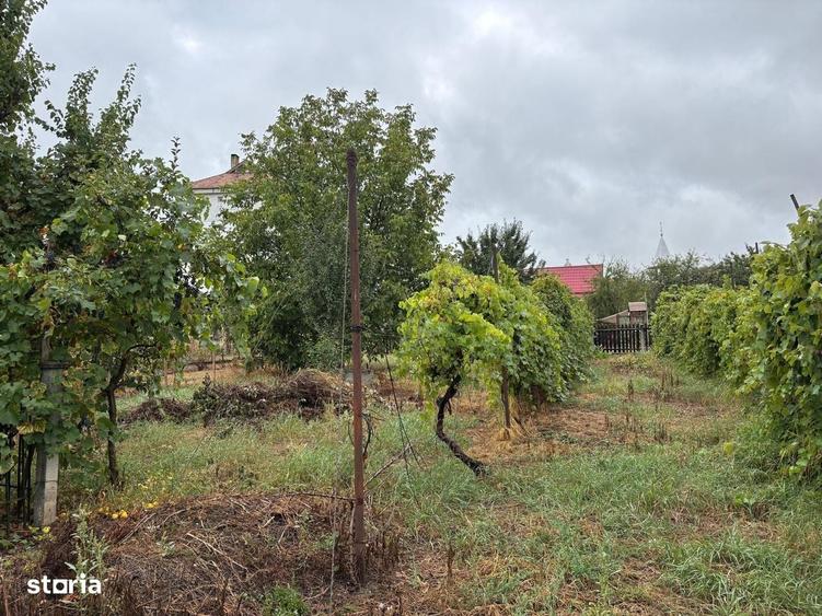 Casă cu 3 camere cu Teren 900 Mp în Sângeorgiu de Mureș