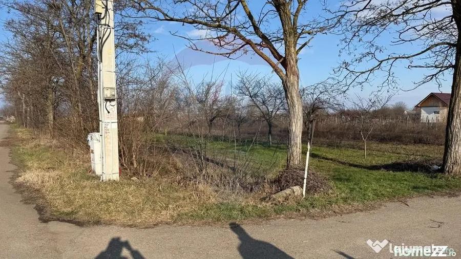 Teren în Petrești