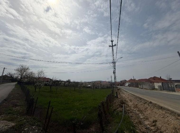 Teren de 1500 mp, în Nord-Est