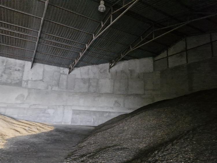 Proprietate specială, de 1,230 mp, în Lumina
