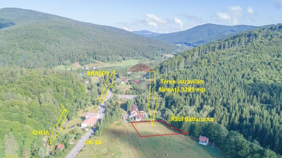 Teren de 3289 mp, în Babarunca