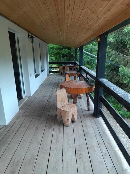 Cabana Colibi?a pe malul lacului - 2