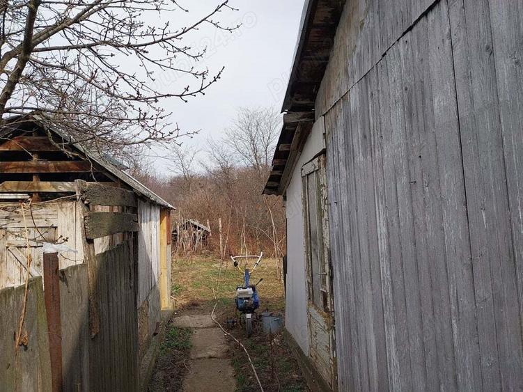 Casa de vanzare Pancesti Sascut - 1