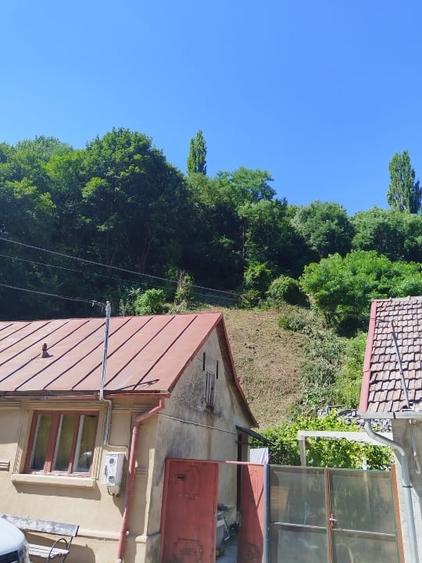 Vând  casă în Sasca montana - 8