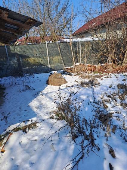 Dascalu, casa veche 4 camere, acoperis nou, teren 1300 mp, deschidere 39 m - 6