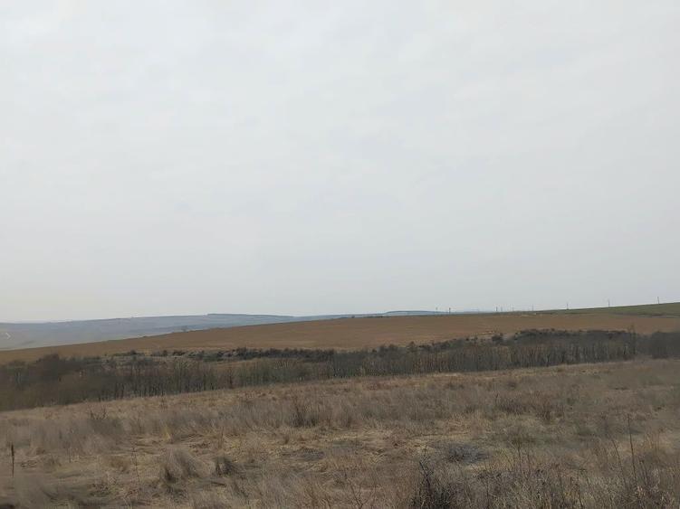 Teren 12 ha DN11A Podu TurculuiCabesti/ideal ferma,hale,fotovoltaic - 2