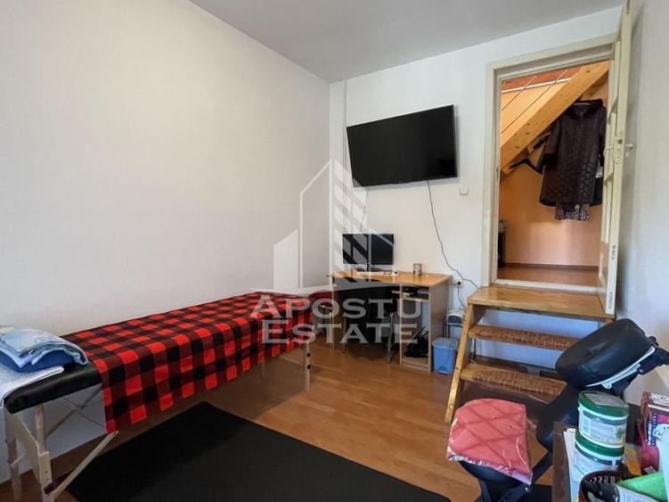 Casa Freidorf Timisoara - 7