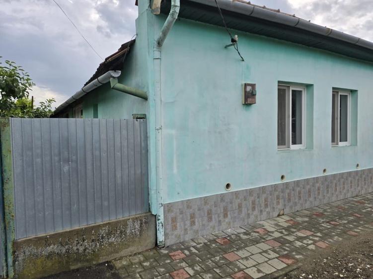 ? Casă renovată cu teren generos - Ciacova, Timiș, 800 mp teren - 10