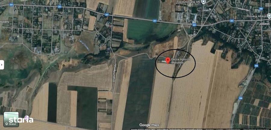 Ferma de gaini ouatoare in sistem free-range | 45.000 mp teren - 7