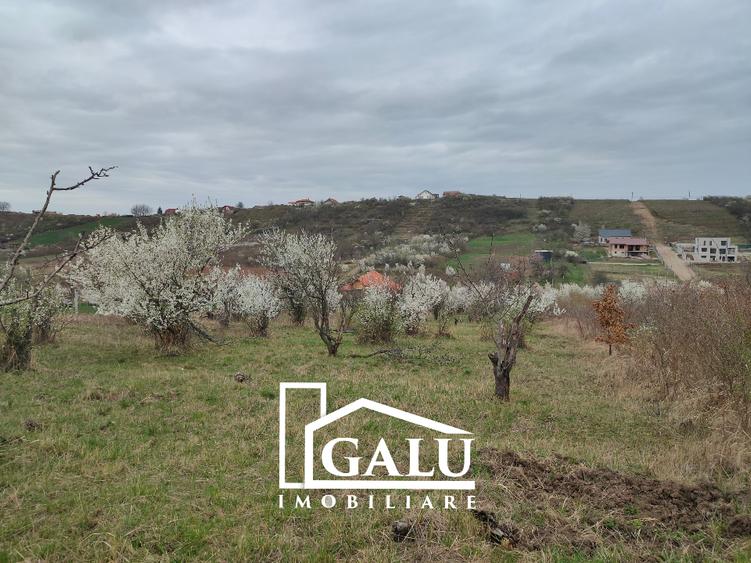 Teren intravilan 3245mp Livezilor, Dealuri Oradea - 5