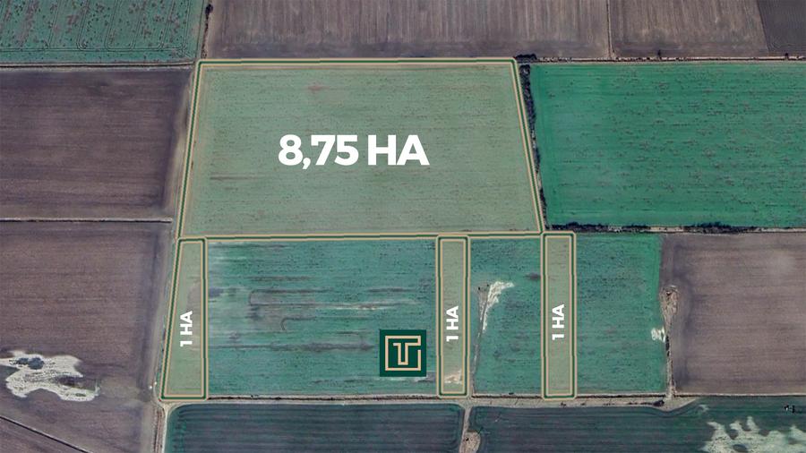 Teren agricol de 11,75 ha de vânzare, la 1,5 km de Turnu, jud. Arad - 2