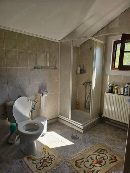 Vand casa vacanta la munte zona Herculane 165 000 - 1