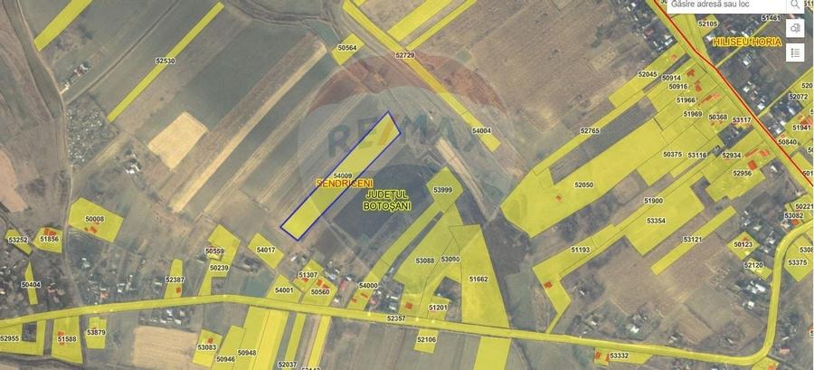 Teren extravilan 12000 mp- Pădureni-Șendriceni, Botoșani - 2