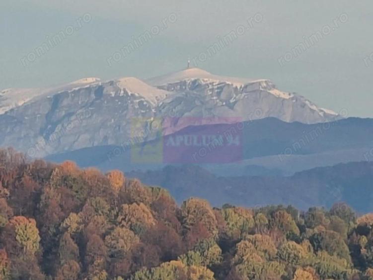 Teren intravilan de vanzare in Telega - 2