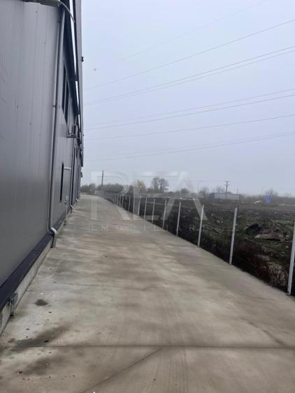 Hala de inchiriat in Domnesti / Centura - 2