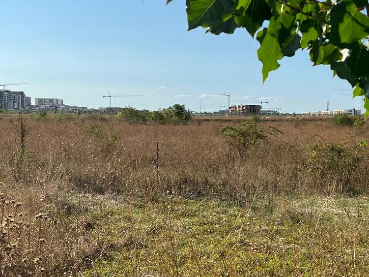 Titan -Policolor-drum gura Saratii ,7290 mp - 7