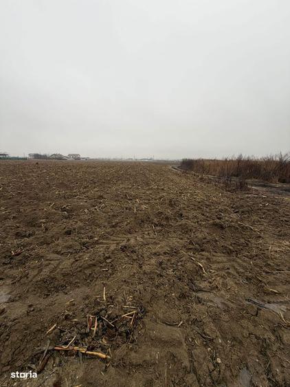 Vand Teren Hemeiusi sat Liliecipe strada prelungirea crinului - 4