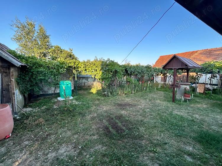 Vand casa batranesca + 1000mp teren intravilan, com. Dragutesti, sat Urechesti - 10