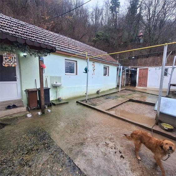 BOCSA Montana, Casa Cocheta cu curte . - 11