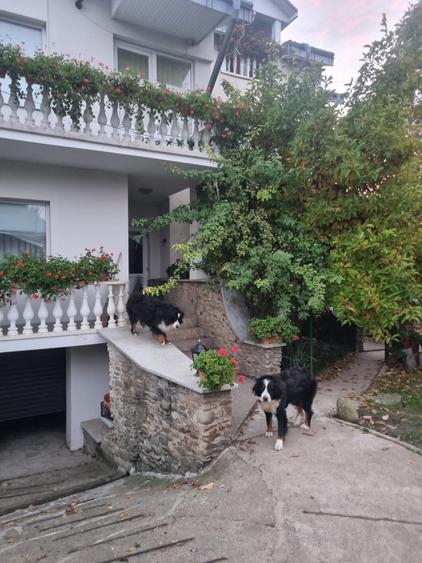 Casa la cheie mobilata si utilata cu 2500mp teren in oras - 1