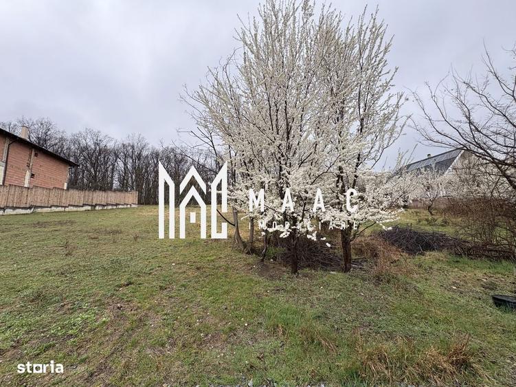 Teren Cisnadioara, 1000 mp, PUZ aprobat, utilitati - 4