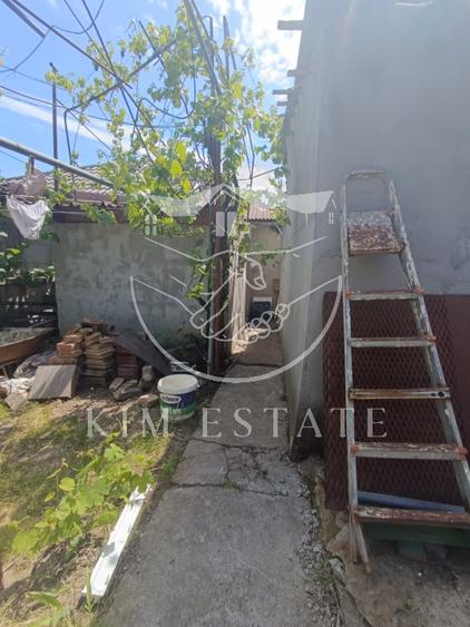 Casa 4 camere Coiciu - 14