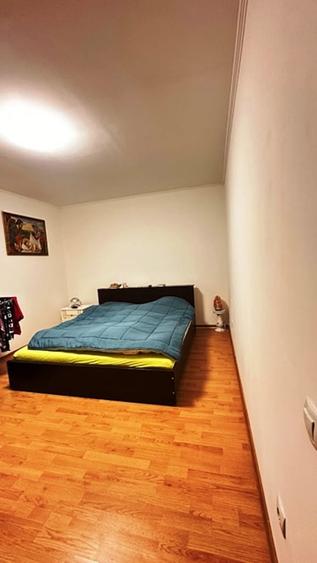 VICTORIEI- zona V. Borcutului casa parter finisata la cheie! - 15