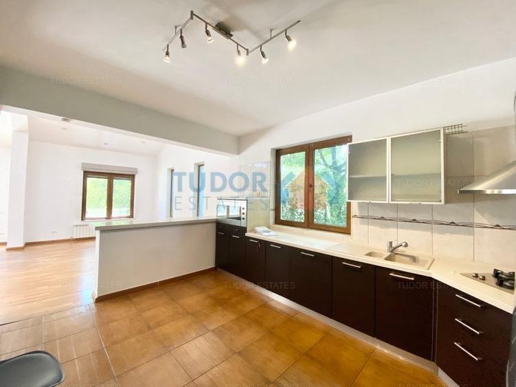 Vila cu piscina Iancu Nicolae - 4