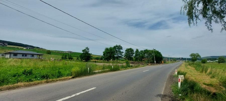 De vanzare teren pretabil ptr constructie pensiune - 1