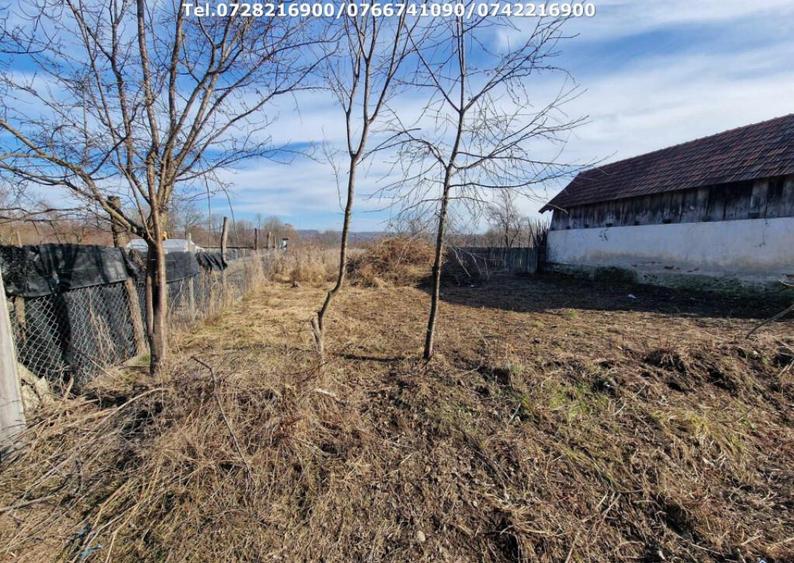 Teren Intravilan (1400 mp), situat in Telesti - 4