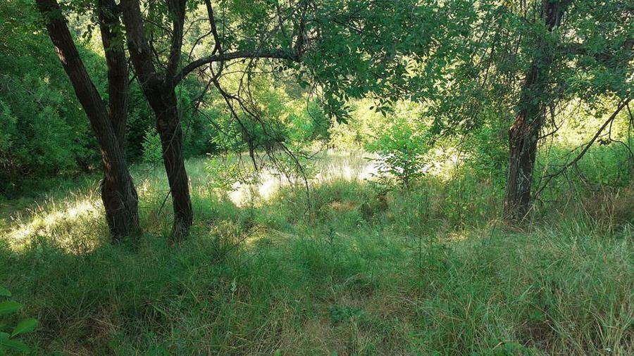 Roscani-Dobra-Teren Cabana-10km A1-Posibilitate Rate - 1