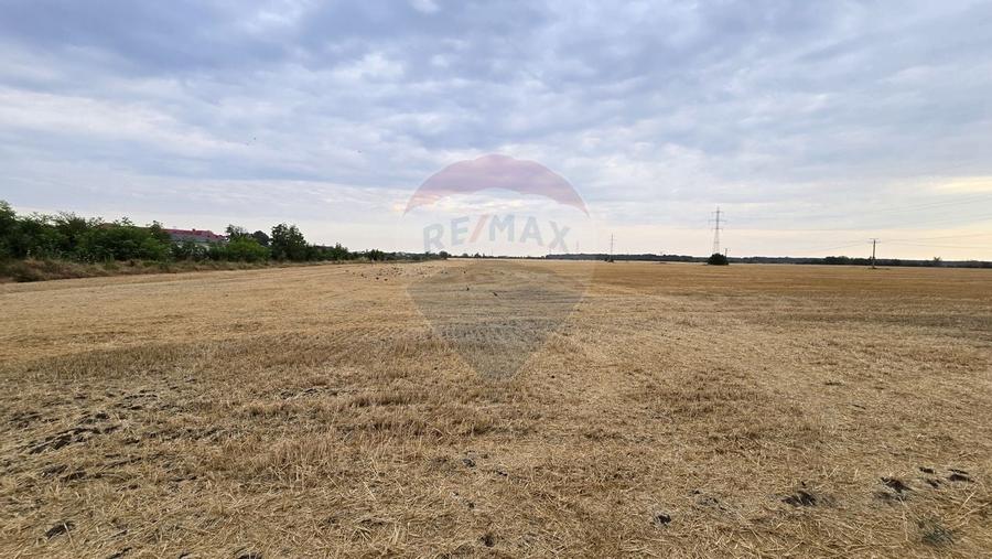 Teren intravilan Buftea, soseaua Tamasi - 6