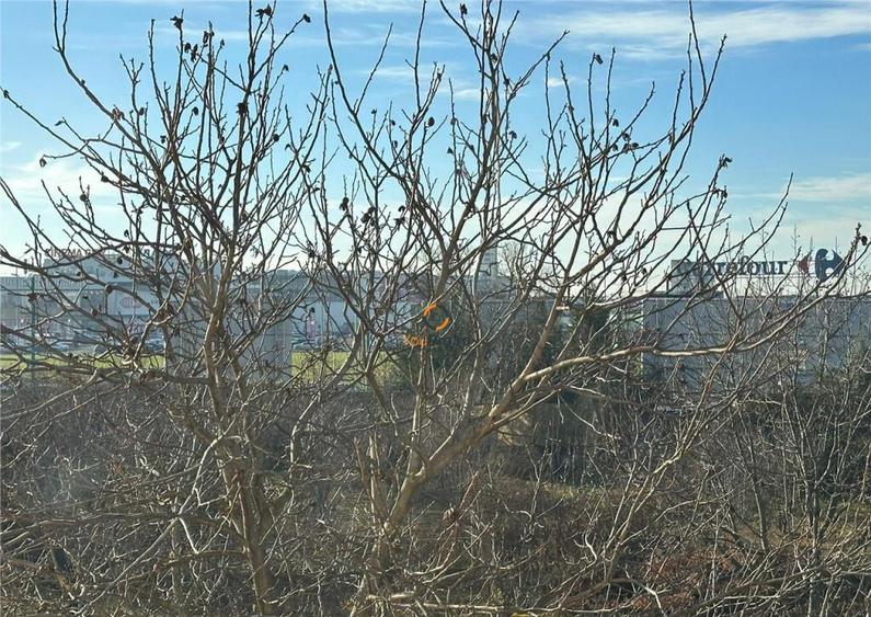 Garsoniera Renovata Noul Mall - 4