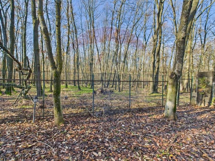 De vanzare | Vila in Paradisul Verde cu gradina si padure proprie | - 22